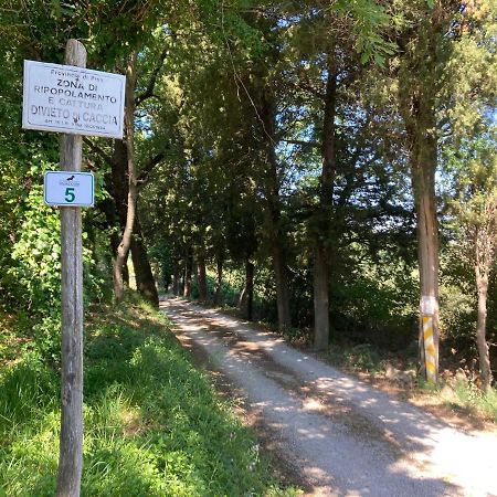 Le Giuncaie - Vigna Con Alloggio Montescudaio Ngoại thất bức ảnh